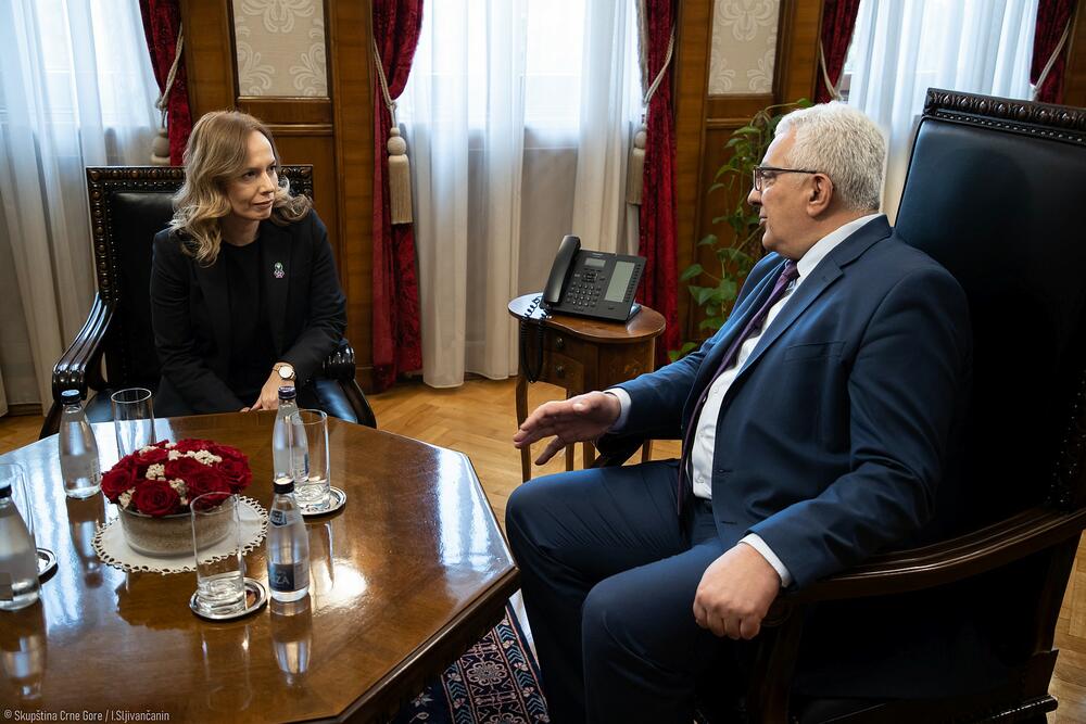 <p>Mandić je razgovarao sa otpravnicom poslova Ambasade Srbije u Crnoj Gori Jelisavetom Čolanović</p>