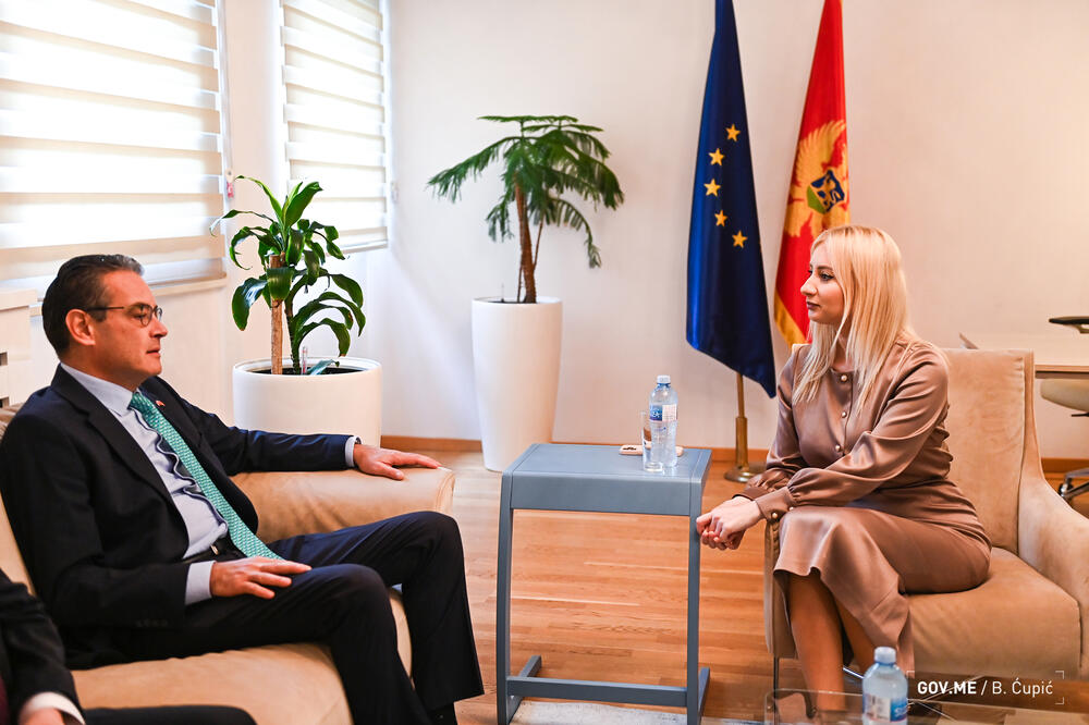 Sa sastanka, Foto: MEP