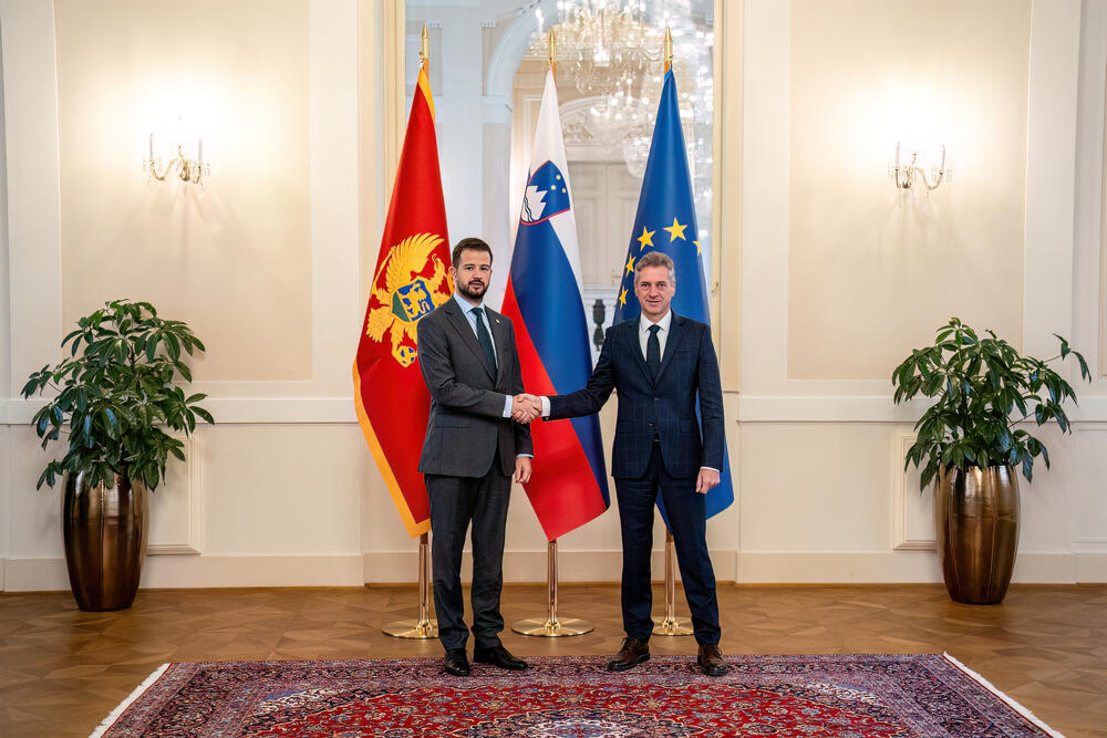 <p>"Teme razgovora bile su unapređenje bilateralne saradnje između dvije države, snažnija podrška Slovenije ubrzanju evropskog puta Crne Gore i jačanje ekonomske saradnje"</p>