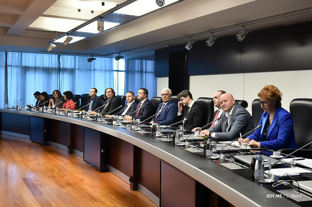 <p>"Potrebna nam je efikasnost, ali ne na uštrb kvaliteta. Jedna od okolnosti koja se mora imati na umu to je da odlaganje Popisa može izazvati nove troškove, posebno zbog fiskalnog trenutka u kome se Crna Gora nalazi"</p>