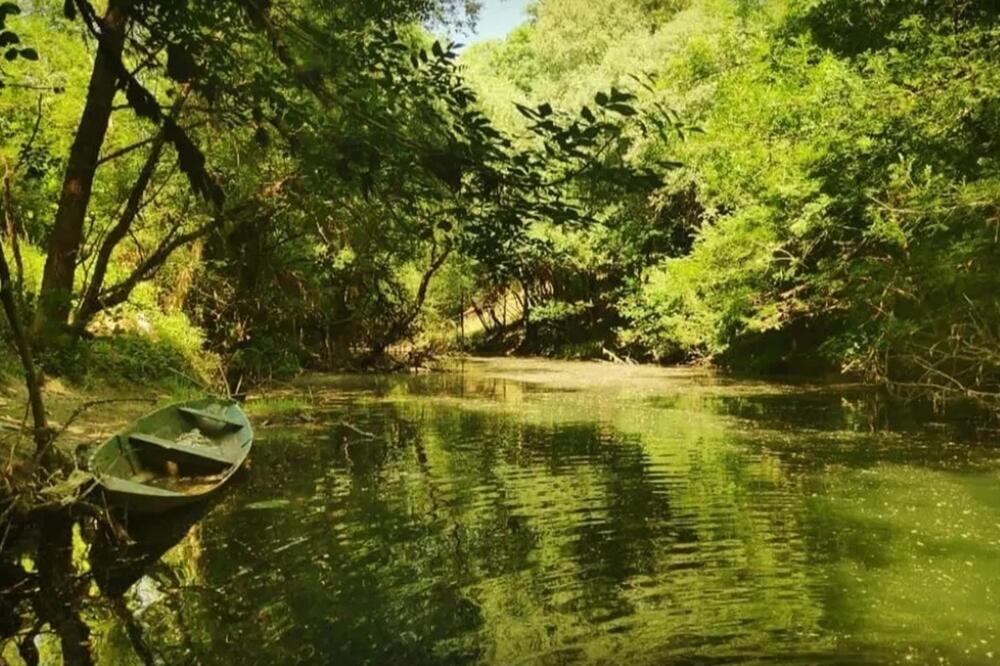 Rijeka Zeta, Foto: Danilovgrad.me