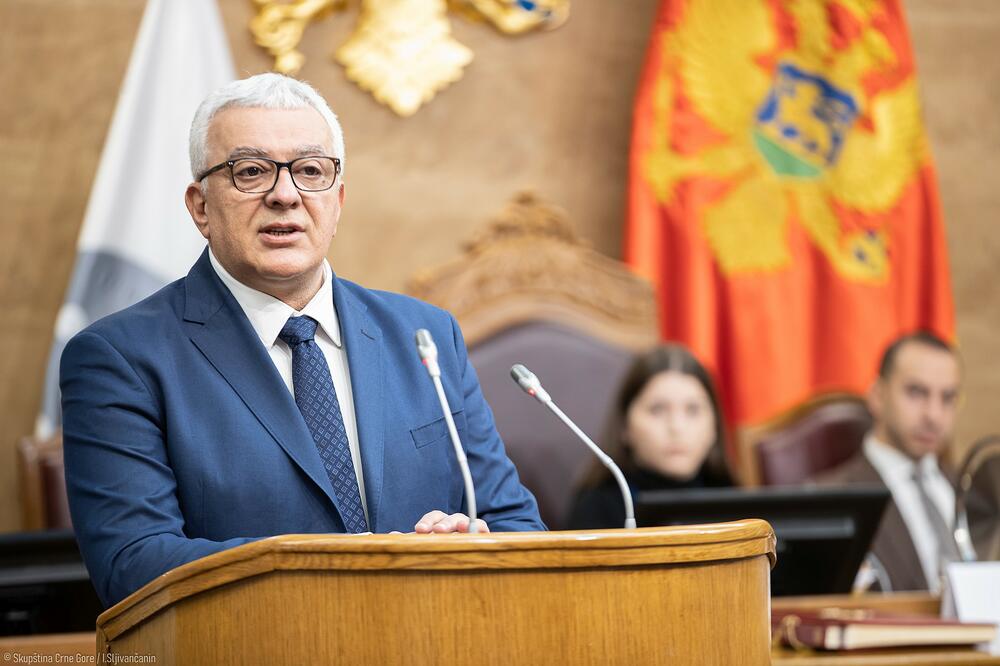Mandić, Foto: odjeljenje za odnose sa javnošću Skupštine