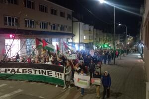 U Pljevljima održana šetnja za mir u znak podrške palestinskom...