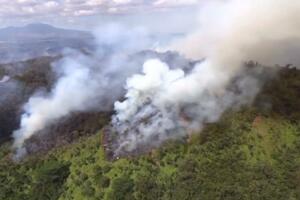 Još jedan požar na Havajima, ovoga puta uništava prašumu Oahua