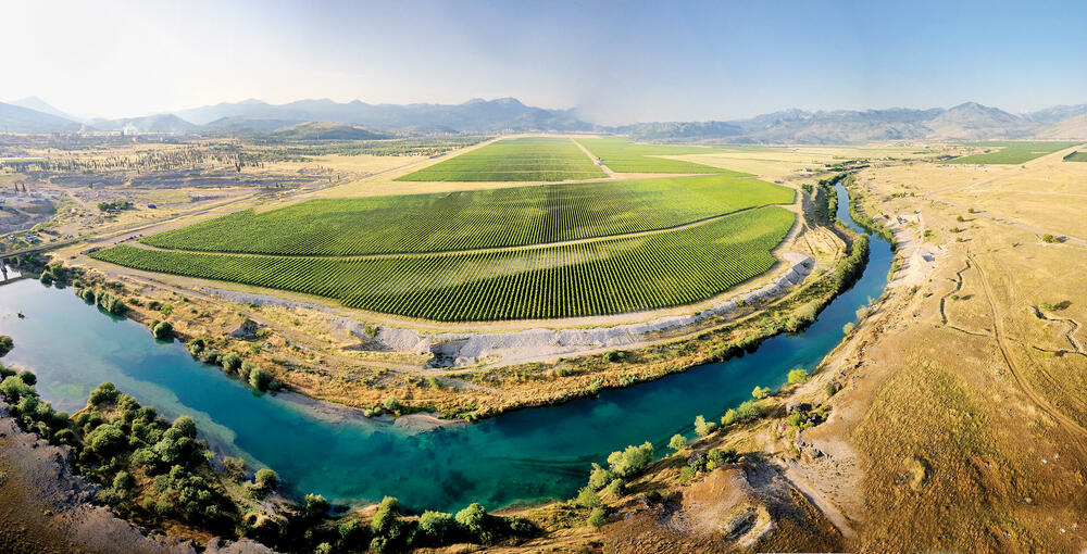 13. jul – Plantaže