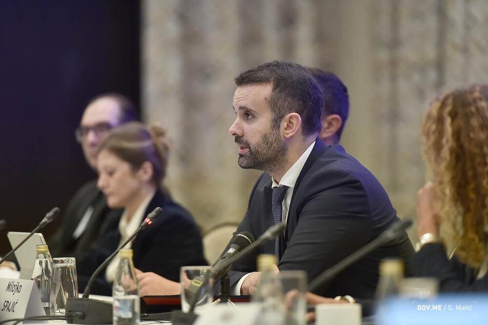 Spajić, Foto: Gov.me/Saša Matić