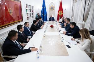 Mandić: Crna Gora da bude veliki proizvođač i izvoznik električne...