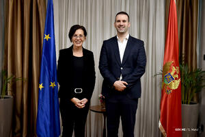 Ambasadorka Slovenije: Crna Gora bi i prije 2030. mogla postati...