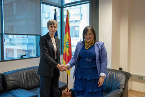 The fight against poverty remains the focus of the joint work of Montenegro...
