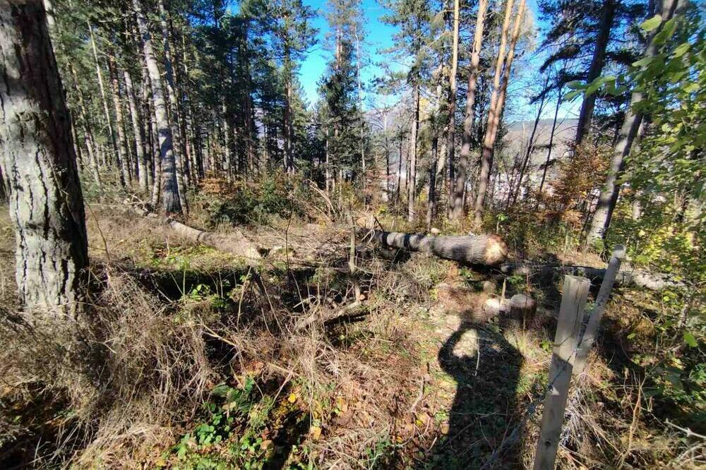 Foto: Privatna arhiva