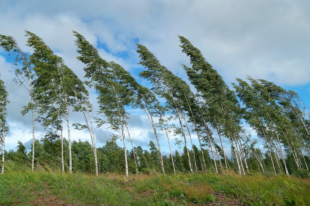 Ilustracija, Foto: Shutterstock