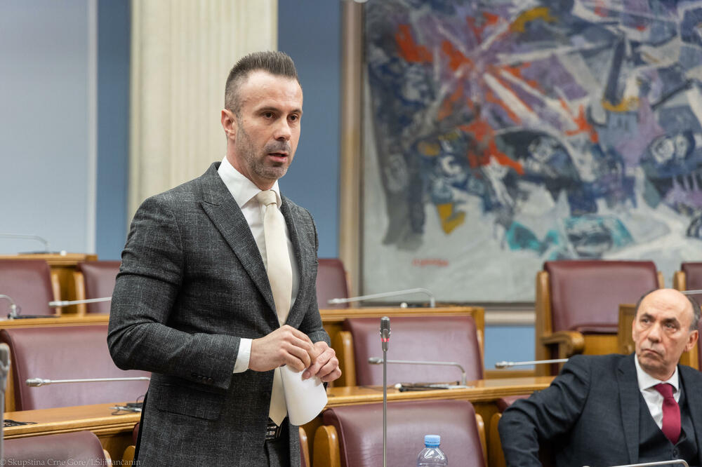 Bogdanović, Foto: Demokratska Crna Gora