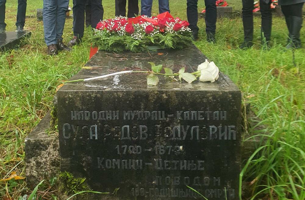 Fondacija Sula Radov