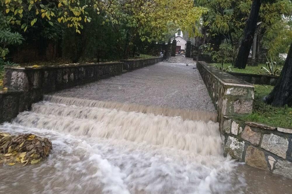 Foto: Siniša Luković