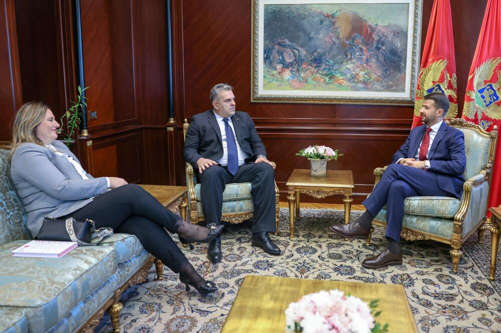 Foto: Služba za informisanje Predsjednika Crne Gore