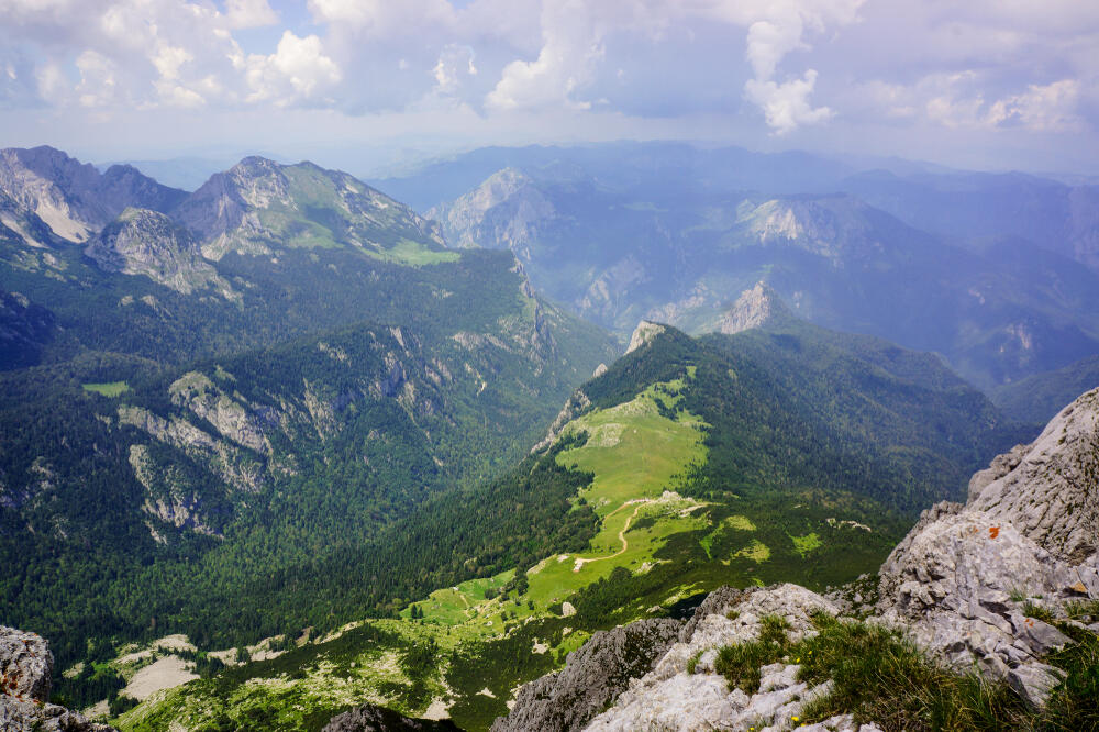 Maglić (Ilustracija), Foto: Shutterstock