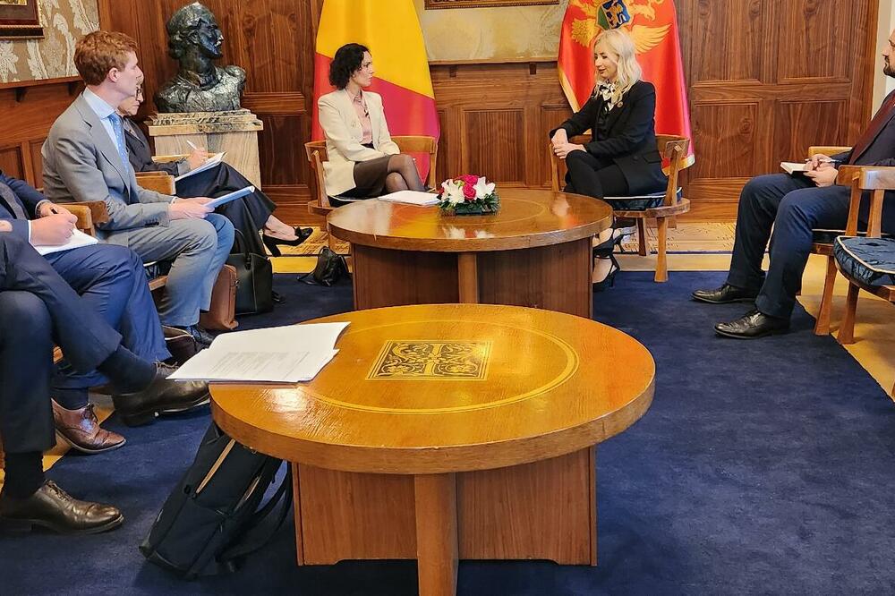 Sa sastanka, Foto: Ministarstvo evropskih poslova