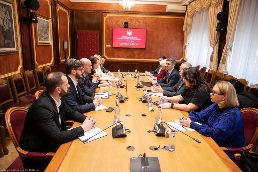 Sa sastanka, Foto: Pokret Evropa sad