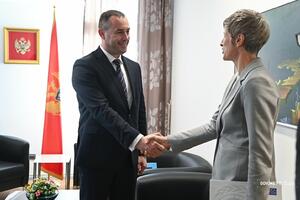 Šćekić: UNDP has been a reliable and active partner for years