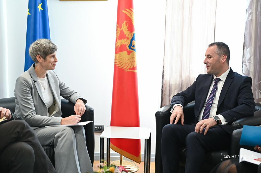 Šćekić i Panklova