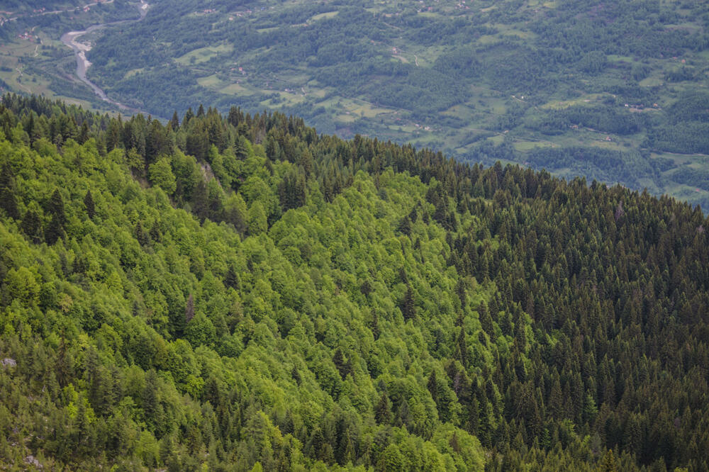 Pogled sa vrhova Zeletina, Foto: Damira Kalač