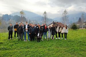 Bjelopoljski gimanzijalci zasadili sto sadnica četinara