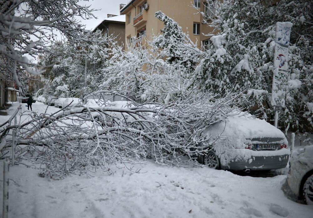 Detalj iz Sofije, 26. novembra 2023. godine