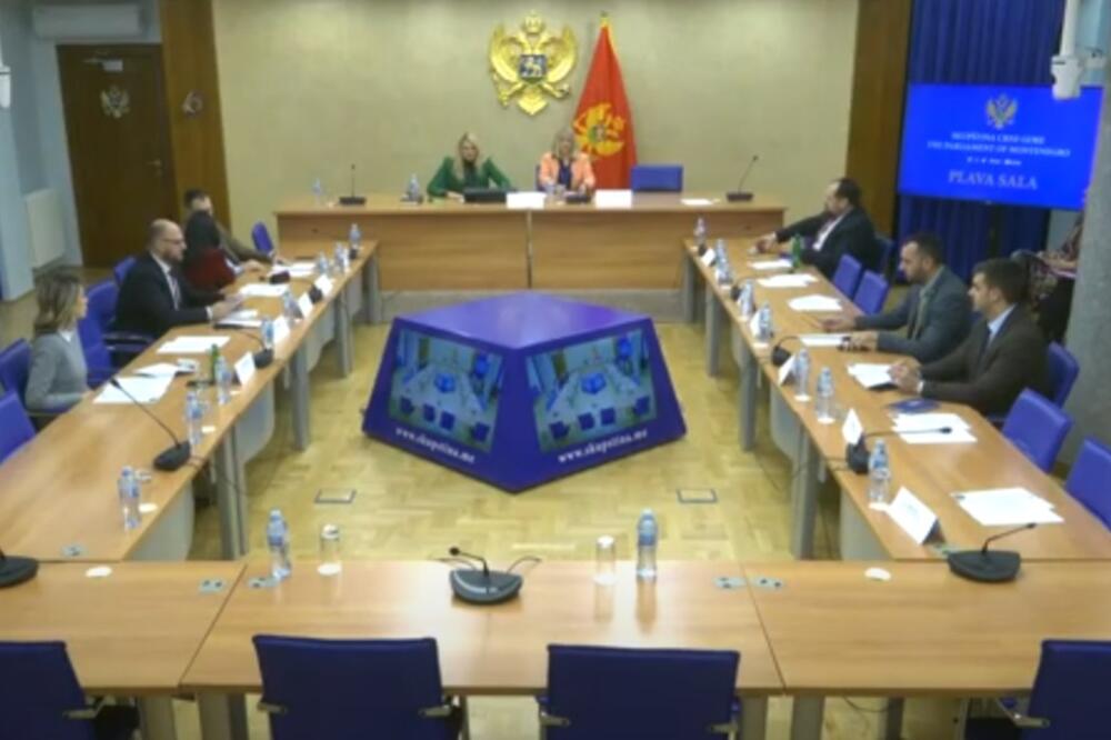 Sa sjednice, Foto: Youtube/Skupština Crne Gore