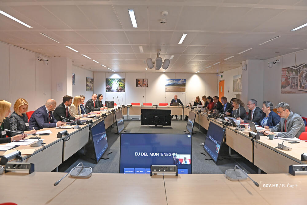 Foto: Gov.me/Bojana Ćupić