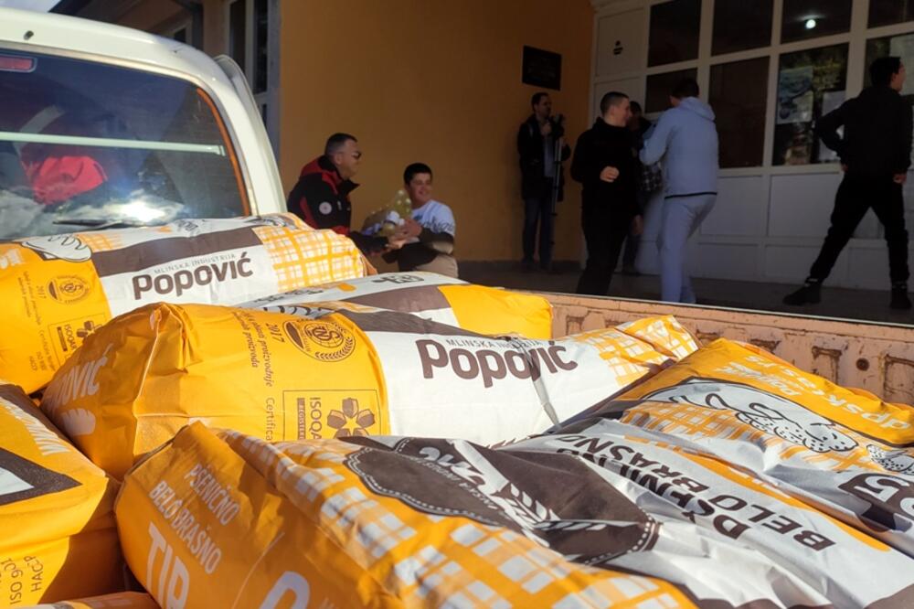 Dio prikupljene hrane, Foto: Svetlana Mandić