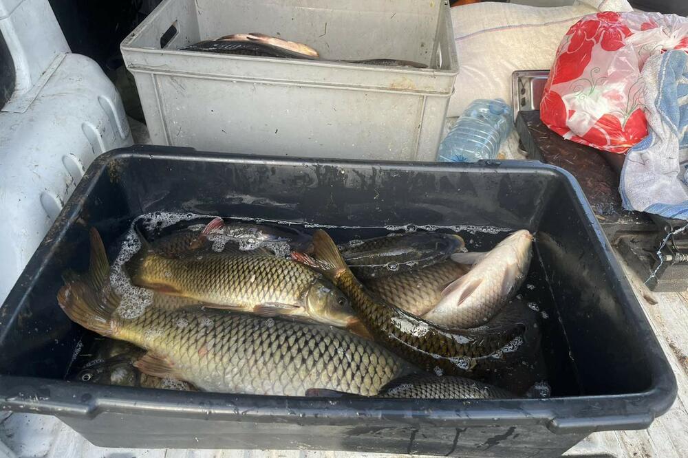 Foto: Privatna arhiva