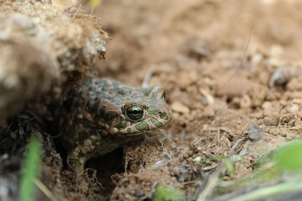 Bogatstvo živog svijeta