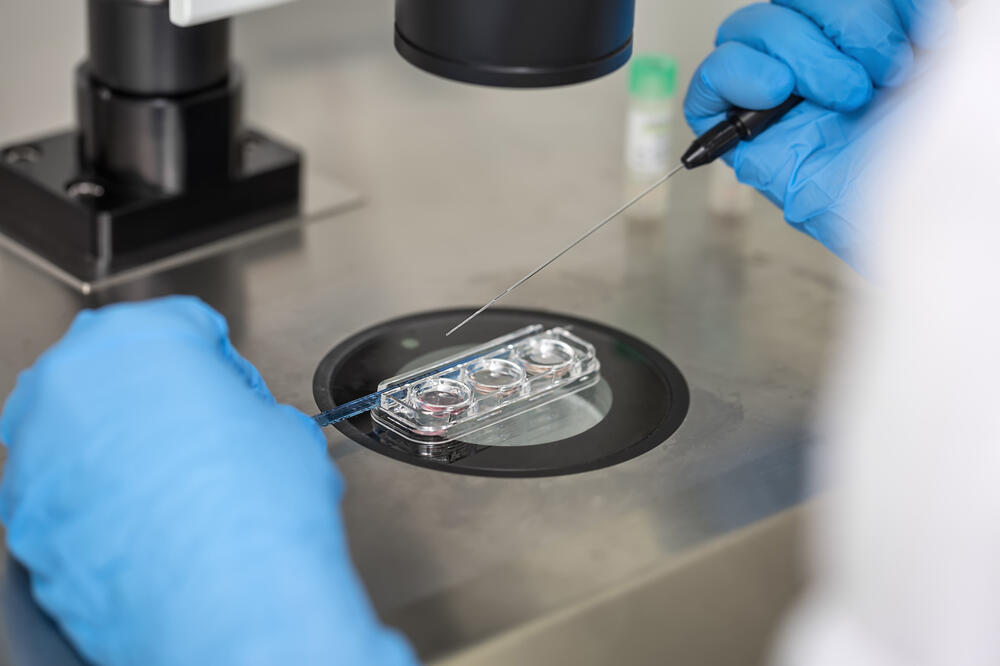 Ilustracija, Foto: Shutterstock