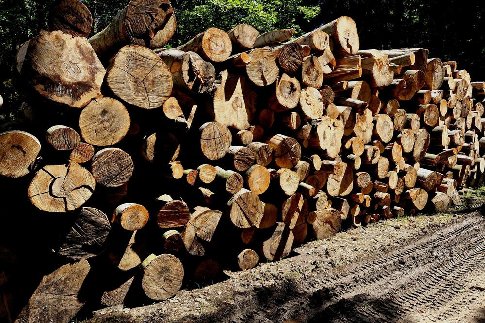 Ilustracija, Foto: Shutterstock