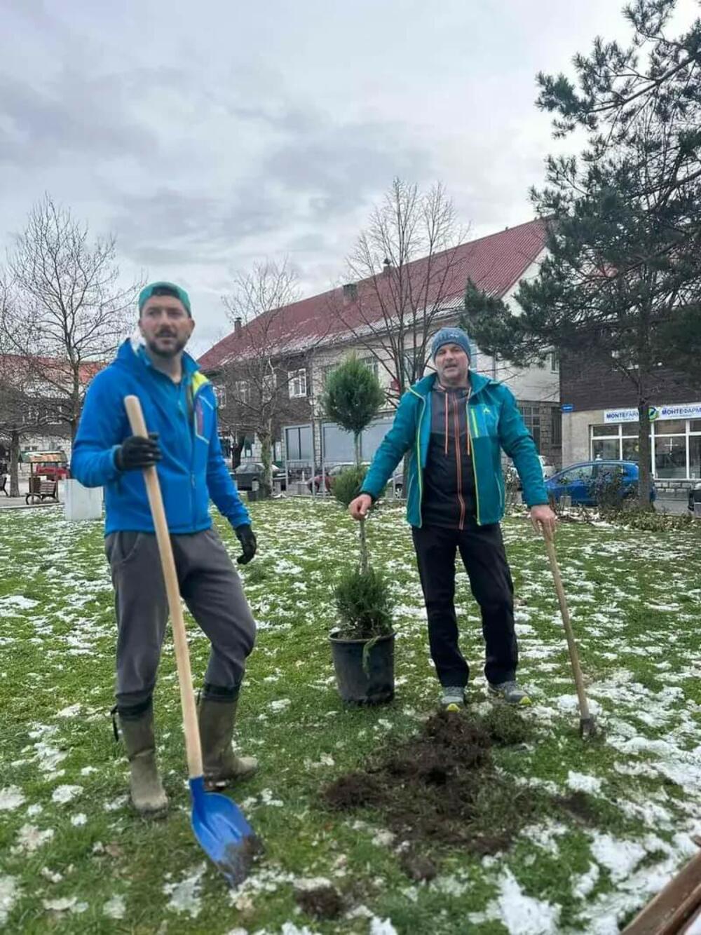 <p>U sadnji ukrasnog rastinja učestvovali su predsjednik Opštine Petko Bakić, direktorica TO Zorica Milašinović, predsjednik Skupštine opštine (SO) Vasilije Bulatović, direktor Komunalnog preduzeća Dušan Simović, sekretar Sekretarijata za zaštitu životne sredine Mile Glavičanin</p>