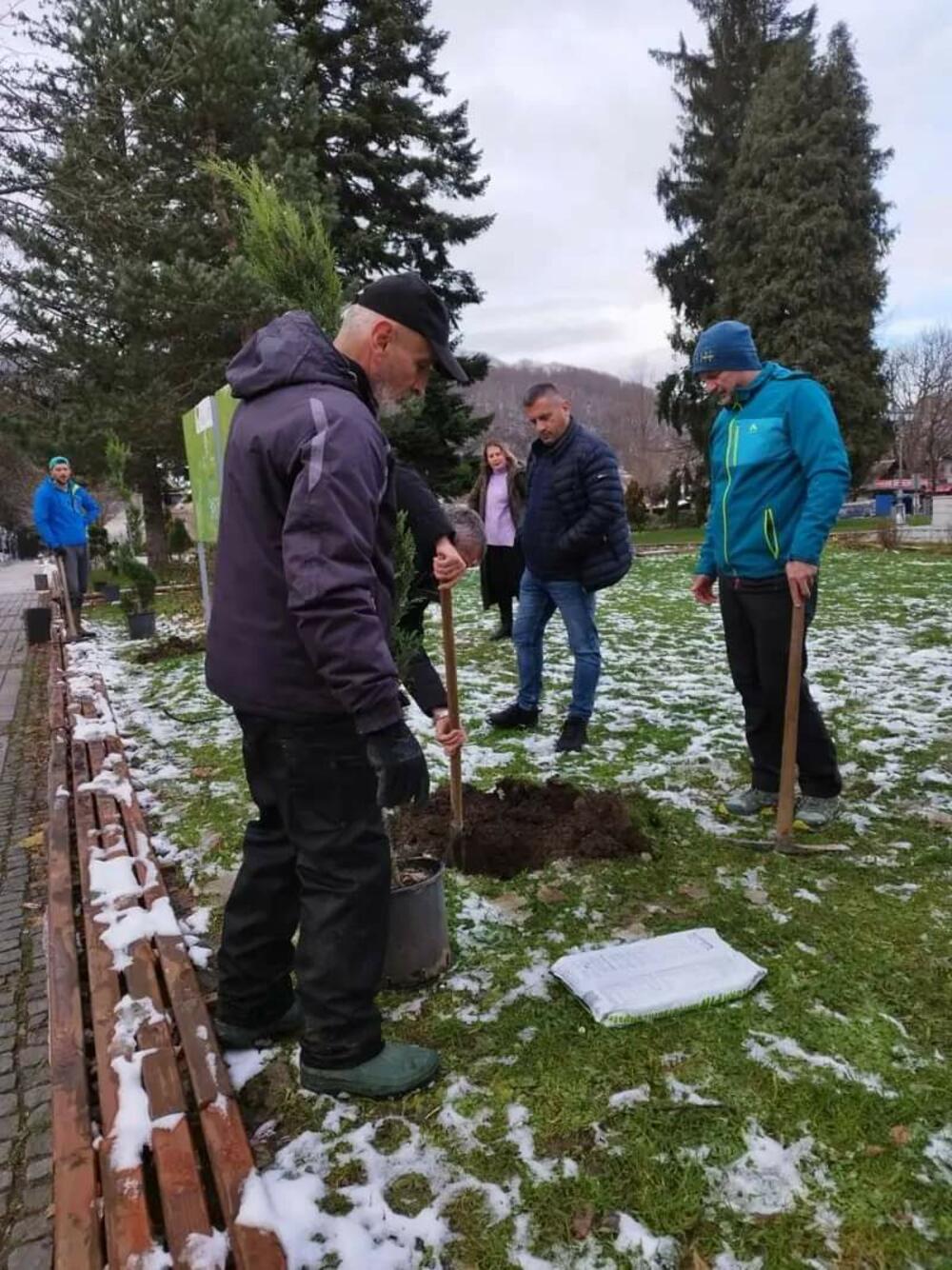 <p>U sadnji ukrasnog rastinja učestvovali su predsjednik Opštine Petko Bakić, direktorica TO Zorica Milašinović, predsjednik Skupštine opštine (SO) Vasilije Bulatović, direktor Komunalnog preduzeća Dušan Simović, sekretar Sekretarijata za zaštitu životne sredine Mile Glavičanin</p>