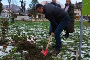 Kolašin: Continued greening of city areas