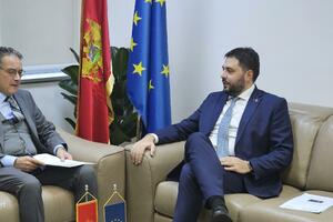 Martinović - Kalkavan: Turski investitori upućeni u Kolašin,...