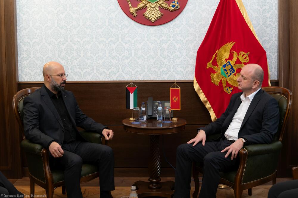 Knežević i Al-Hantouli, Foto: DNP