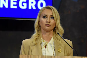 Gorčević: Montenegro will support Kosovo's membership in the Council of Europe,...