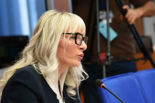 Kome smeta Maja Jovanović...