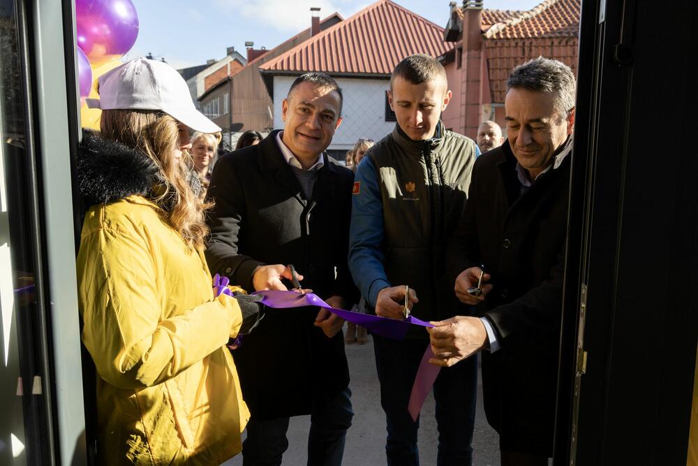 Mitrović, Peković i Bakić