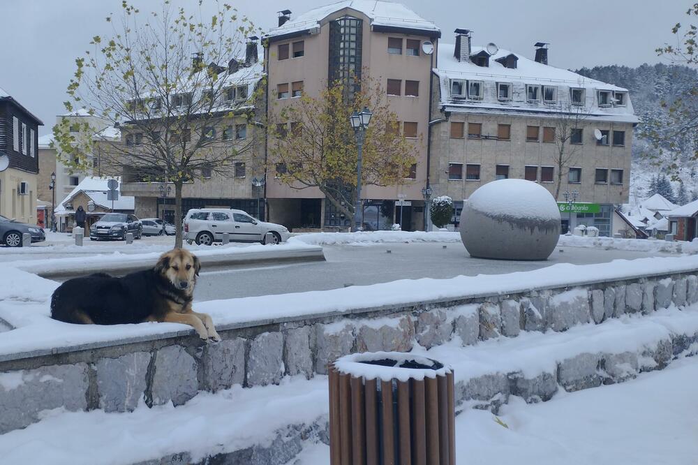 U planu i omladinski klub: Kolašin, Foto: Dragana Šćepanović