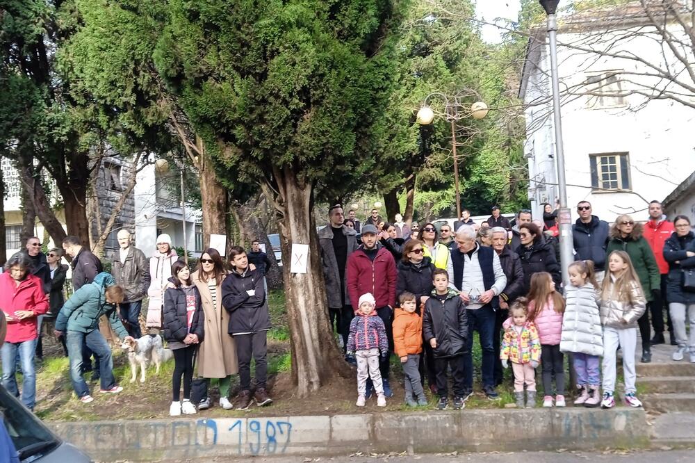 Detalj sa protesta, Foto: Alen Hadžović