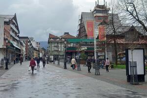 Devastating survey data of the Municipality of Pljevlja: Half of the young...