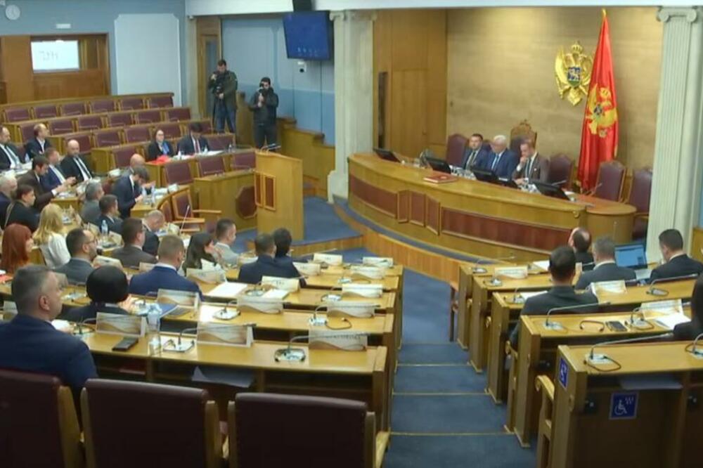 Ilustracija, Foto: Skupština/Youtube