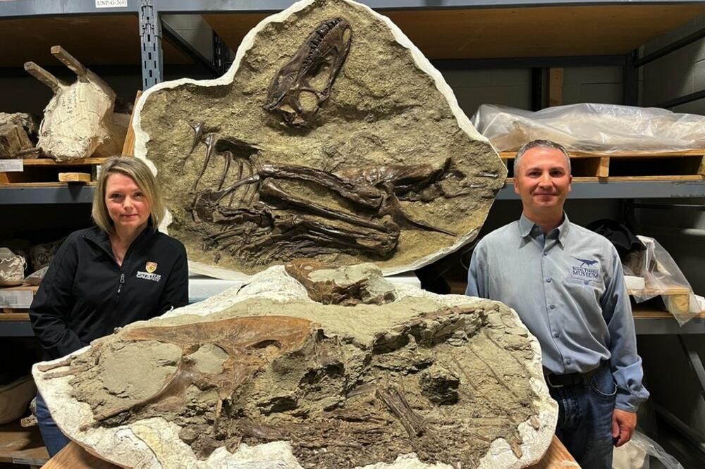 Darla Zelenicki i Fransoa Terijen sa kompletnim fosilom tiranosaurusa, Foto: Royal Tyrell Museum of Palaeontology