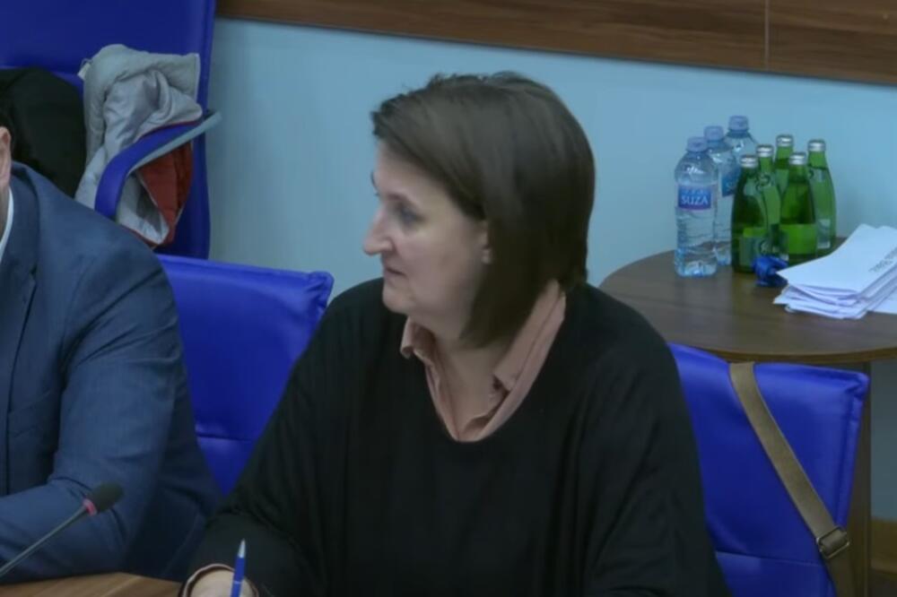 Remiković, Foto: Skupština Crne Gore/Youtube