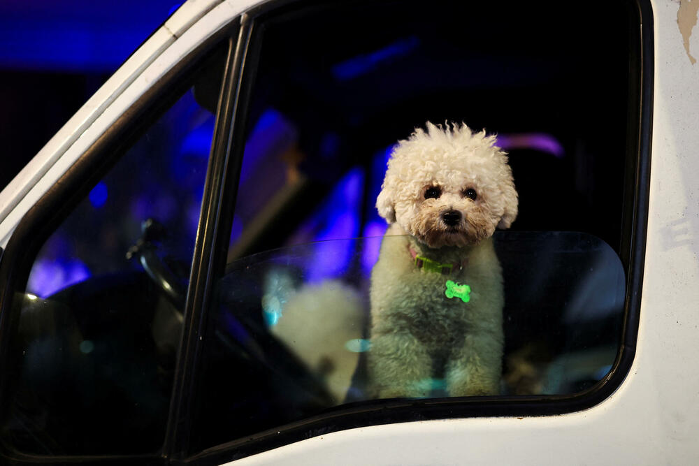 <p>Okupljeni, koji su nosili veliki broj srpskih zastava, popunili su Trg republike, kao i okolne ulice u kojima je bio zaustavljen saobraćaj</p>