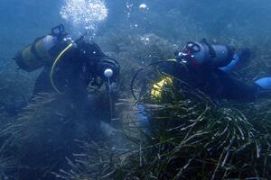 Institut za biologiju mora obilježio rođendan: Slavlje uz tri nova...